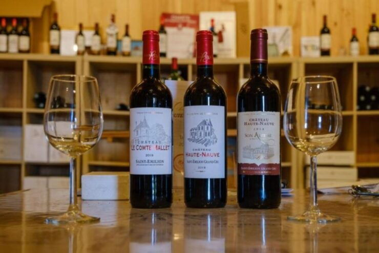 Saint-Émilion: Visit to a Family Vineyard & Tasting - Activity Details