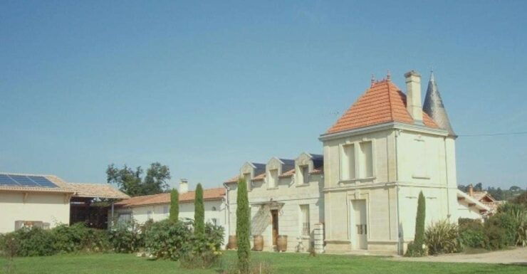 Saint-Émilion: Visit to a Family Vineyard & Tasting - Experience Highlights