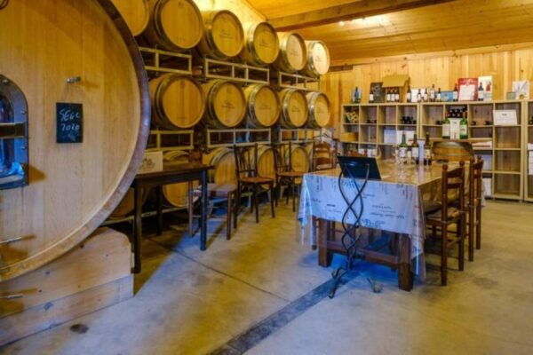 Saint-Émilion: Visit to a Family Vineyard & Tasting - The Sum Up