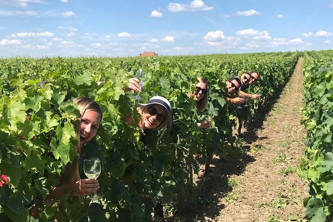 Saint-Emilion Winery Morning Tour With Local Guide - Scenic Saint-Émilion Wine Region