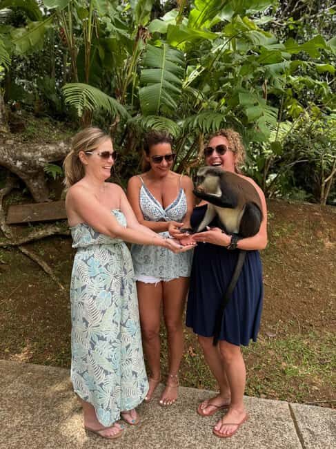 Saint George's: Grenada River Tubing & Waterfall island tour - FAQ
