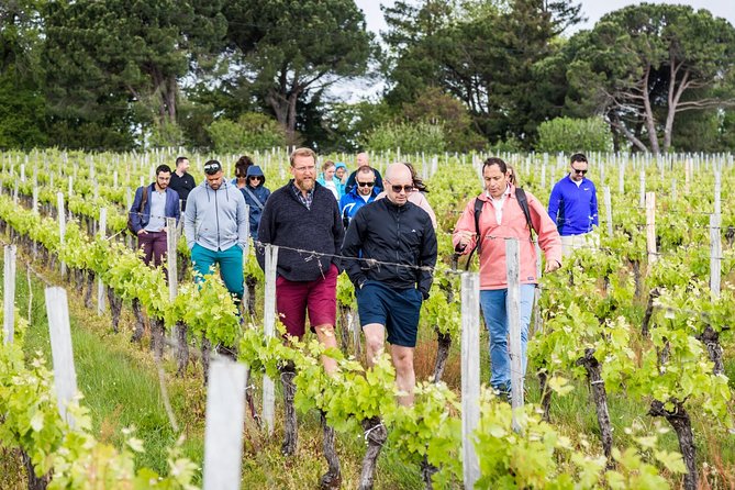 Saint-Georges Saint-Emilion Walking and Biking Tour With Lunch  - France - Reviews