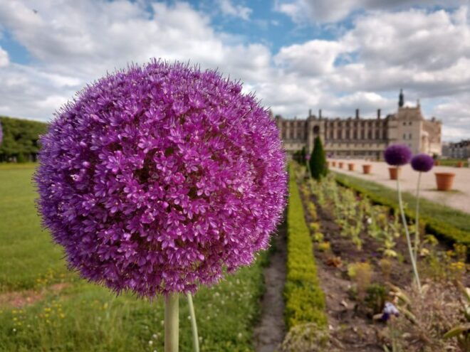 Saint-Germain-En-Laye: History, Forest, Paris View, Picnic! - Breathtaking Views of Paris