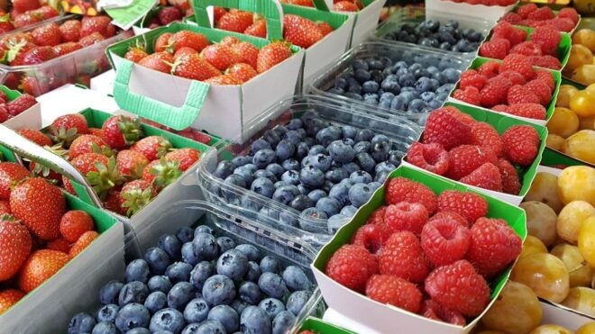 Saint-Germain-En-Laye: History, Forest, Paris View, Picnic! - Delightful Picnic Experience