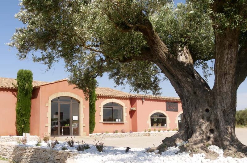 Saint Gilles: Tour of an olive oil mill in an organic olive grove - What to Expect from the Tour