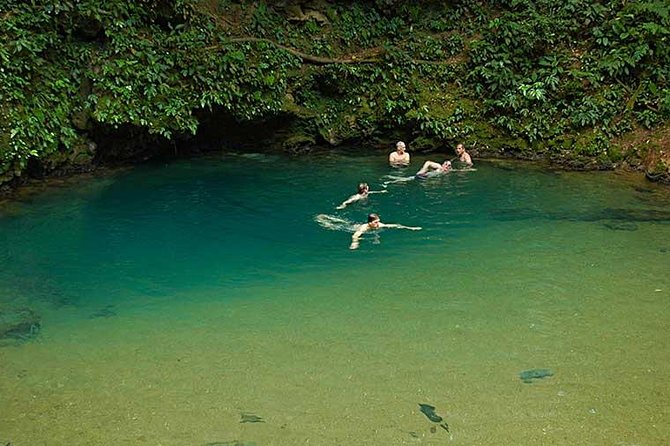 Saint Hermans Cave Hiking and Blue Hole Tour From Belize City - What to Expect