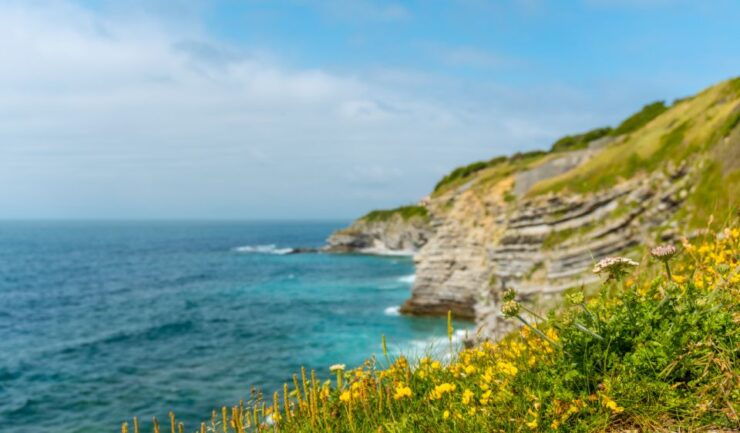 Saint-Jean-de-Luz and Hondarribia Private Tour - Tour Information