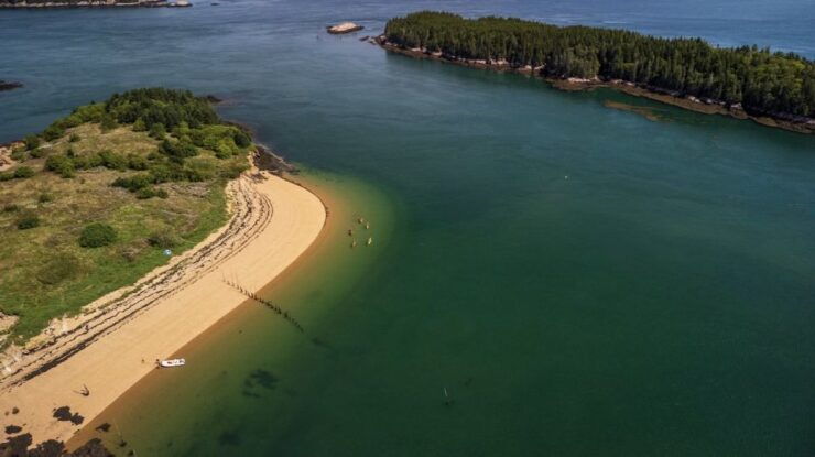 Saint John: Bay of Fundy Guided Kayaking Tour With Snack - Experience Highlights and Wildlife Encounters