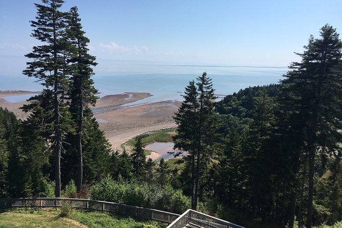 Saint John Cruise Ship Shore Tour to Bay of Fundy - Port of Saint John: A Cruise Ship Hub
