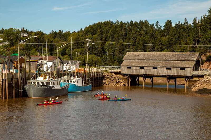 Saint John: Guided Kayaking Tour of St. Martins Sea Caves - Good To Know