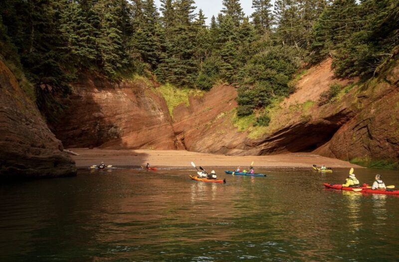 Saint John: Guided Kayaking Tour of St. Martins Sea Caves - The Value for Money