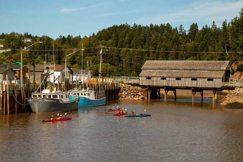 Saint John: Guided Kayaking Tour of St. Martins Sea Caves - Who Should Consider This Tour?
