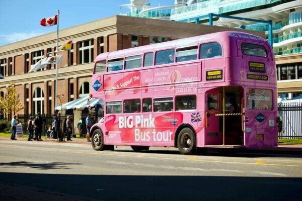 Saint John: Hop-on Hop-Off Double-Decker Bus City Tour - Important Tour Policies