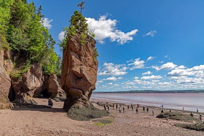 Saint John (NB) Bay of Fundy and Hopewell Rocks Private Tour - Good To Know