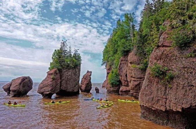 Saint John (NB) Bay of Fundy and Hopewell Rocks Private Tour - What’s Included and What’s Not?