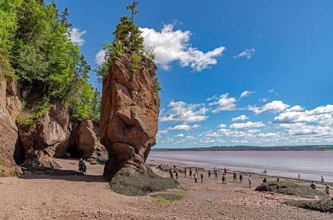 Saint John (NB) Bay of Fundy and Hopewell Rocks Private Tour - Final Thoughts