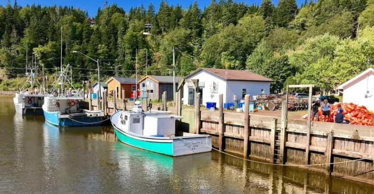 Saint John: Top 10 Highlights and Bay of Fundy Bus Tour - Good To Know