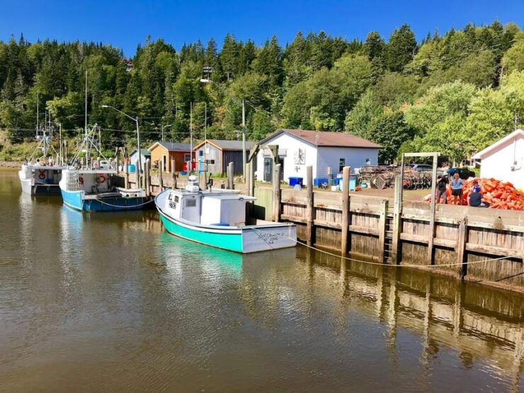Saint John: Top 10 Highlights and Bay of Fundy Bus Tour - Itinerary Highlights
