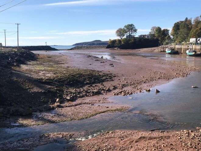 Saint John: Top 10 Highlights and Bay of Fundy Bus Tour - Accessibility and Recommendations