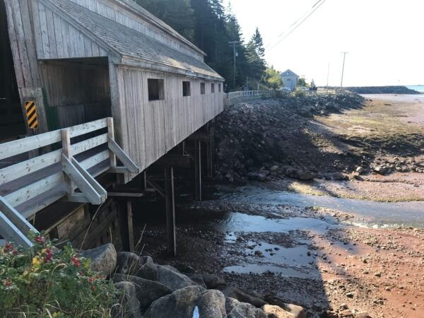 Saint John: Top 10 Highlights and Bay of Fundy Bus Tour - Free Cancellation and Payment