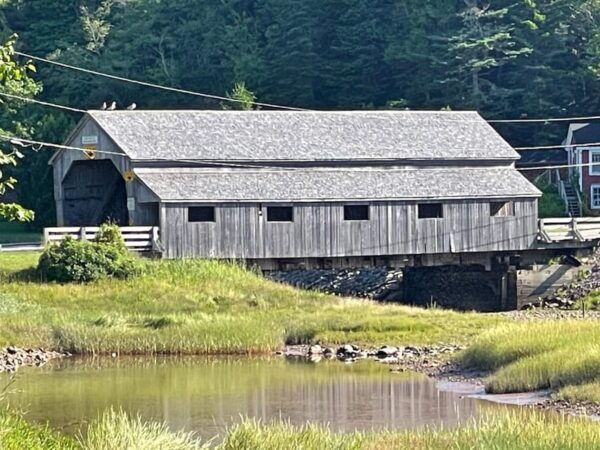 Saint John: Top 10 Highlights and Bay of Fundy Bus Tour - Tour Duration and Price
