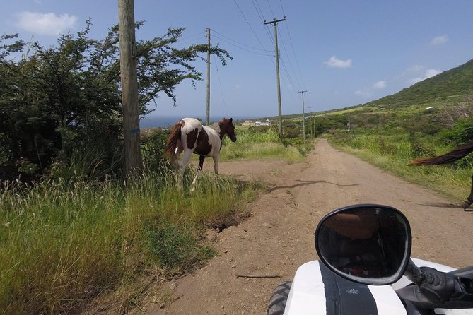 Saint Kitts and Nevis Small-Group Off-Road Tour  - St Kitts - Meeting and Pickup Information