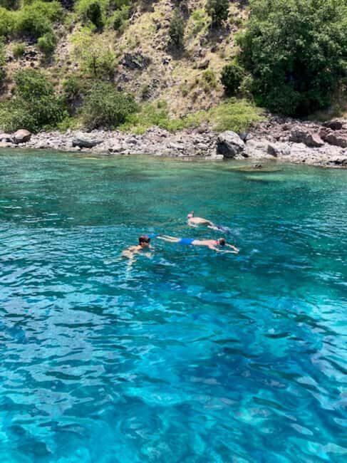 Saint Kitts & Nevis: Snorkel Tour with open Bar - Who Will Love This Tour?  