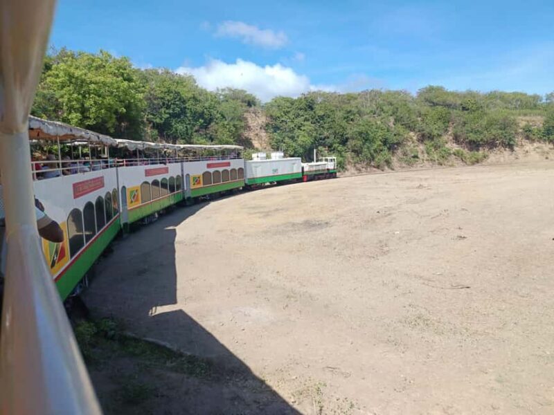 Saint Kitts Train Trek: Pickups & Drop off from Anywhere - Final Thoughts: Who Is This Tour Perfect For?  