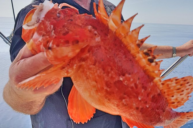 Saint-Laurent-du-Var Private Fishing Charter - Nice - Inclusions: Fuel Surcharge, Fishing Equipment, and Lunch