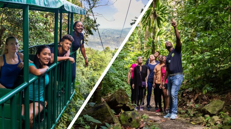Saint Lucia: Aerial Tram Tour at Rainforest Adventures - Good To Know
