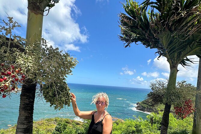 Saint Lucia Beach Tour with Free Entry - FAQ