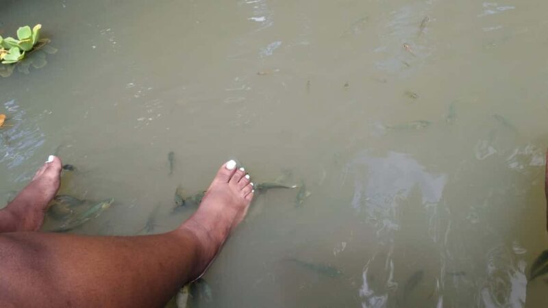 Saint Lucia: La Tille Falls Visit and Fish Foot Massage - The Value of This Tour