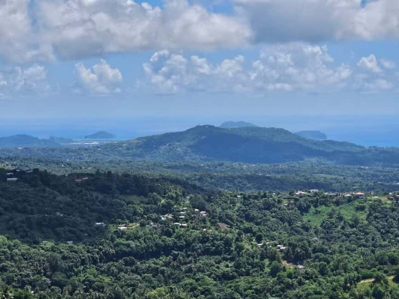 Saint Lucia: Piton Hike - Good To Know