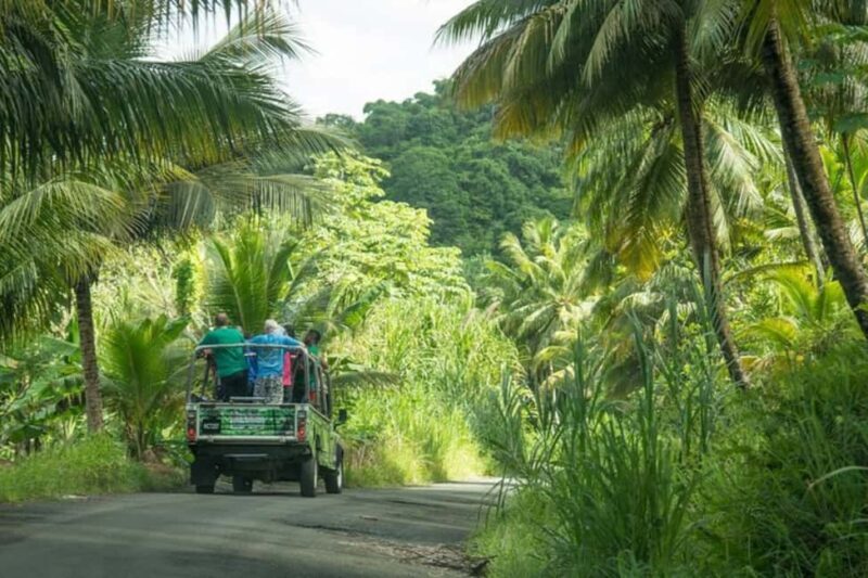 Saint Lucia: Soufriere Volcano Experience - Details That Make a Difference