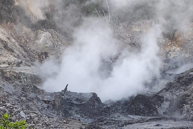 Saint Lucia Sulphur Springs Rejuvenating Mud Bath Tour - Visit Sulphur Springs and Drive Through a Volcano