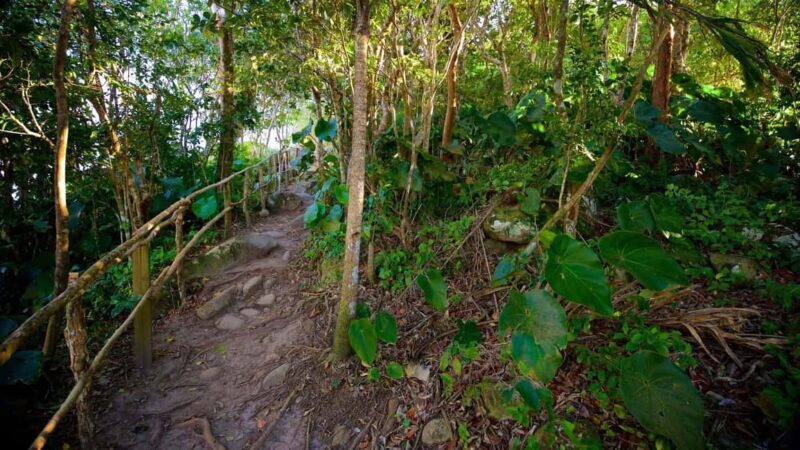 Saint Lucia: Tete Paul Nature Trail Hike & Waterfall Visit - Exploring Saint Lucia: Tete Paul Nature Trail Hike & Waterfall Visit