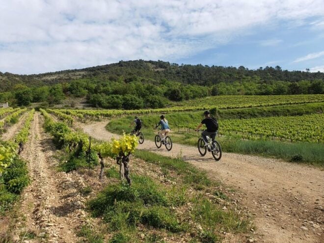 Saint-Martin-dArdèche: Electric Bike Wine Tour & Tasting - Inclusions and Additional Services