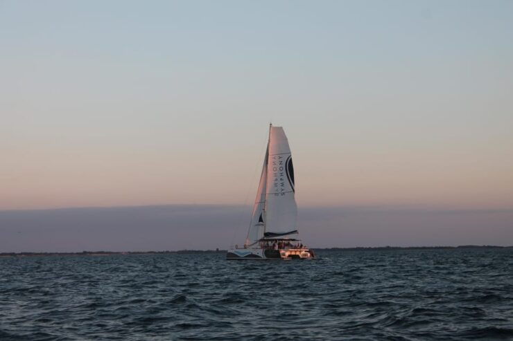Saint-Martin-De-Ré: Sunset Catamaran Cruise (2 Hours) - Key Points