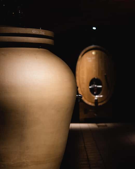 Saint-Nicolas-de-Bourgueil: Food and Wine Pairing Tour - The Experience in Detail