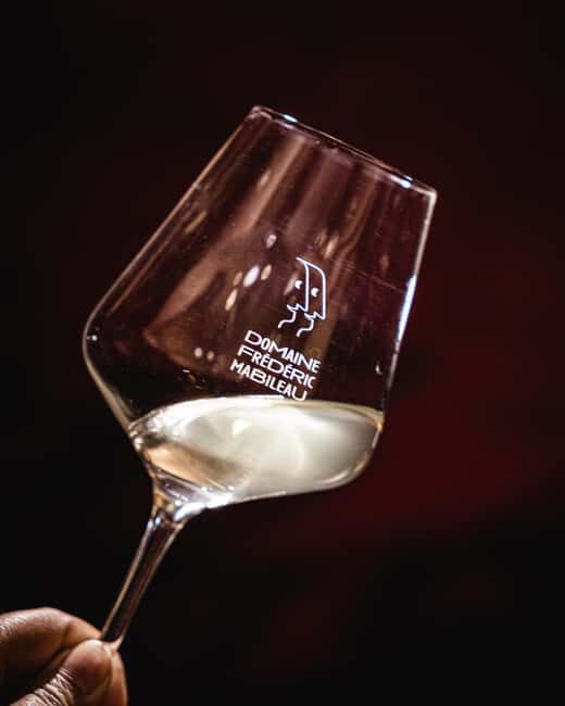 Saint-Nicolas-de-Bourgueil: Food and Wine Pairing Tour - Who Should Consider This Tour?