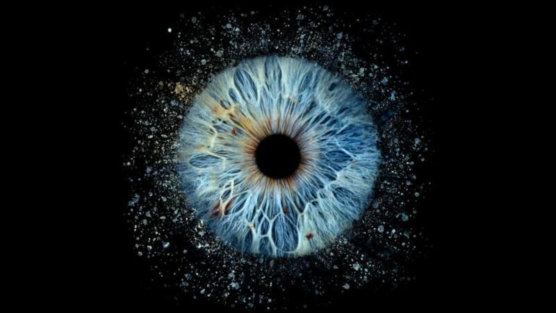 Saint-Paul-de-Vence: Reveal the beauty of your iris with Iris Galerie - Good To Know