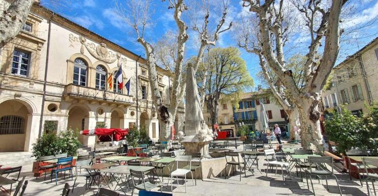 Saint-Rémy-de-Provence: Guided Food Walking Tour - Tour Highlights