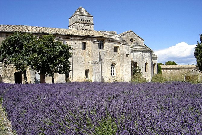Saint Rémy De Provence & Les Baux De Provence Tour - Tour Highlights
