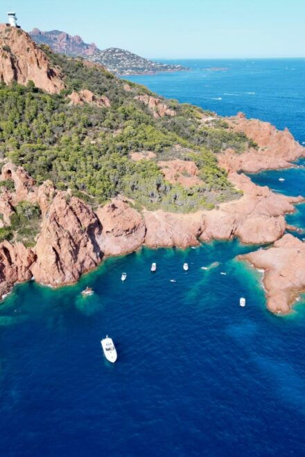 Saint Tropez: 2-Hour Evening Catamaran Cruise With Aperitif - Directions for Booking