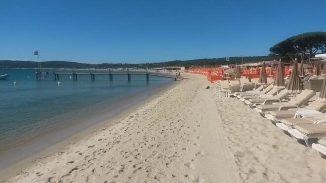 Saint Tropez and Port Grimaud: Full-Day Tour - Highlights