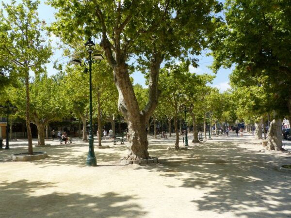 Saint Tropez and Port Grimaud: Full-Day Tour - How to Book