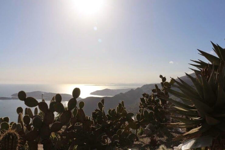 Saint Tropez Full-Day Tour From Nice - Booking and Cancellation Policies