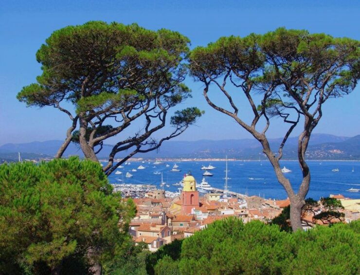 Saint Tropez Full-Day Tour From Nice - Experience in St. Tropez