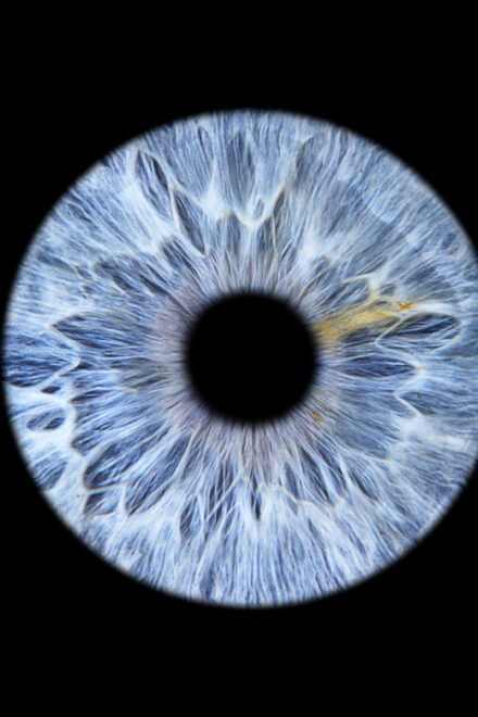 Saint-Tropez: Make Your Eyes a Unique Work of Art - Booking Your Experience