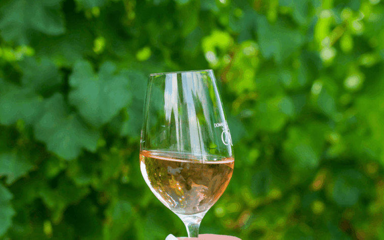 Saint-Tropez: Small Group Wine Tour - Wine Estates and Tastings